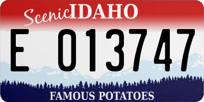 ID license plate E013747