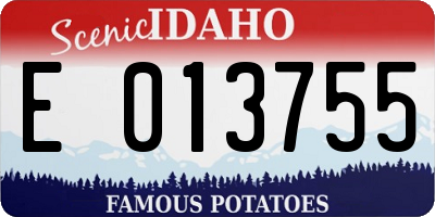 ID license plate E013755