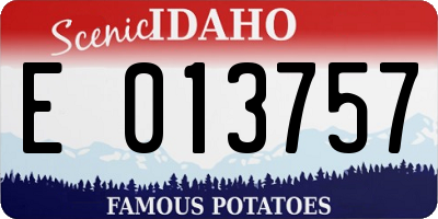 ID license plate E013757