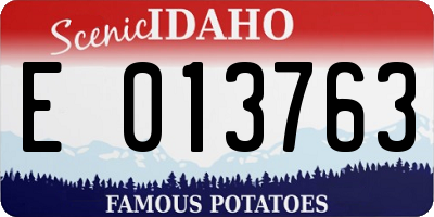 ID license plate E013763