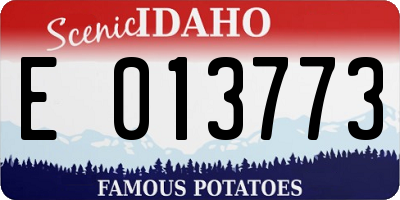 ID license plate E013773