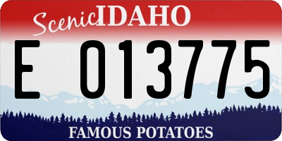 ID license plate E013775