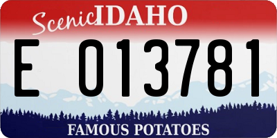 ID license plate E013781