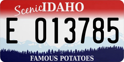 ID license plate E013785