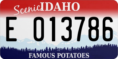 ID license plate E013786