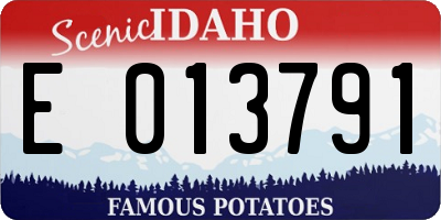 ID license plate E013791