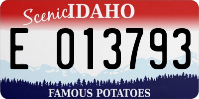 ID license plate E013793