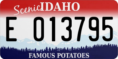 ID license plate E013795