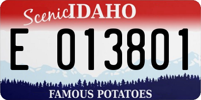 ID license plate E013801