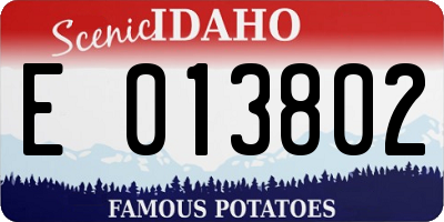ID license plate E013802