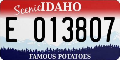 ID license plate E013807