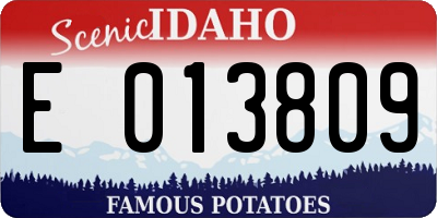 ID license plate E013809