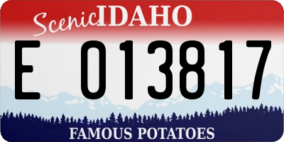 ID license plate E013817
