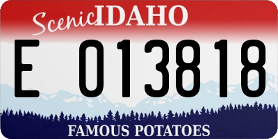 ID license plate E013818