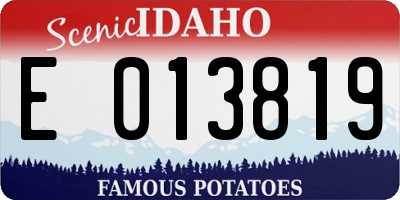 ID license plate E013819