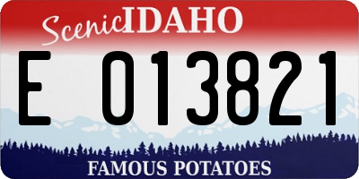 ID license plate E013821