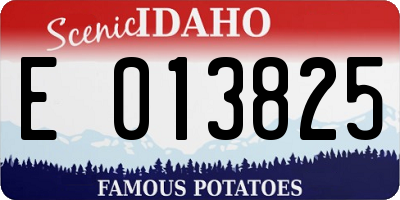 ID license plate E013825