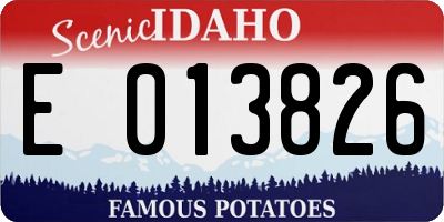 ID license plate E013826