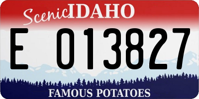 ID license plate E013827