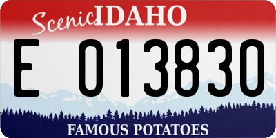 ID license plate E013830