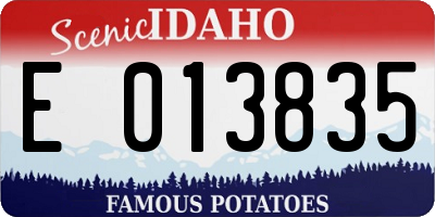 ID license plate E013835