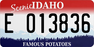 ID license plate E013836