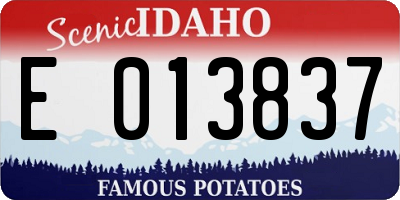 ID license plate E013837