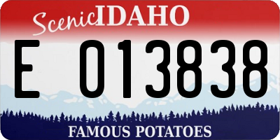 ID license plate E013838