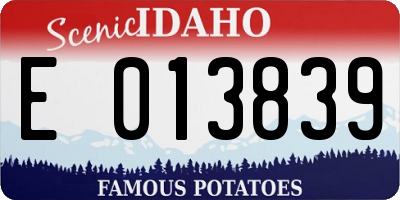 ID license plate E013839