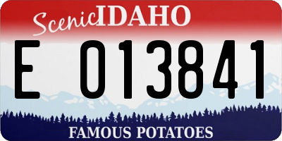 ID license plate E013841