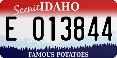 ID license plate E013844