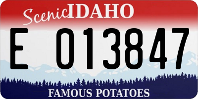 ID license plate E013847