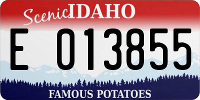 ID license plate E013855