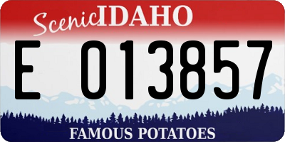 ID license plate E013857