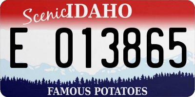 ID license plate E013865