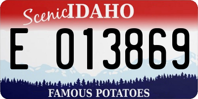 ID license plate E013869