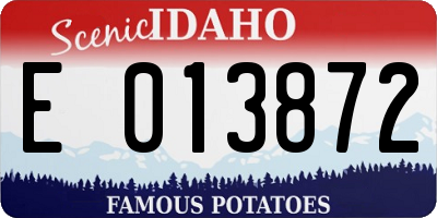 ID license plate E013872