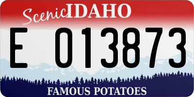 ID license plate E013873