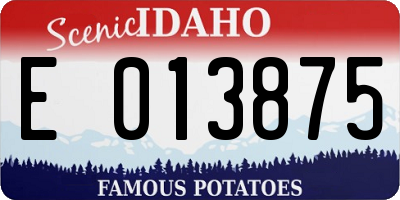 ID license plate E013875