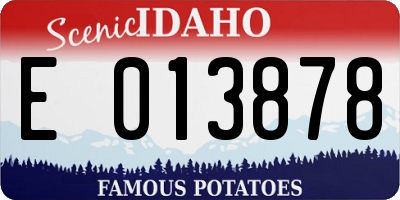 ID license plate E013878