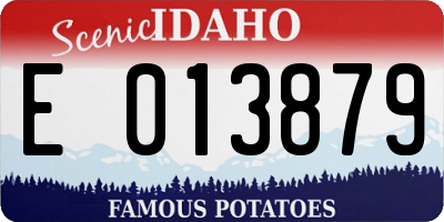ID license plate E013879