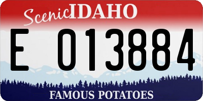 ID license plate E013884