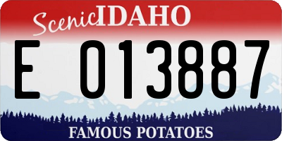 ID license plate E013887