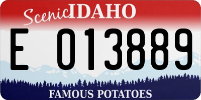 ID license plate E013889