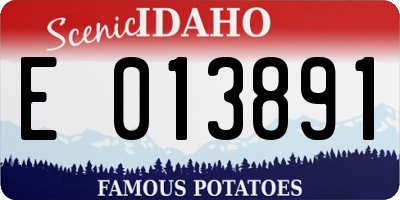 ID license plate E013891