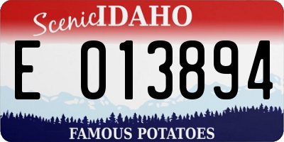 ID license plate E013894