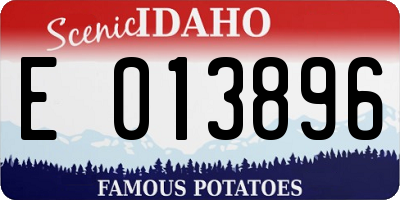 ID license plate E013896