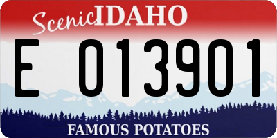 ID license plate E013901