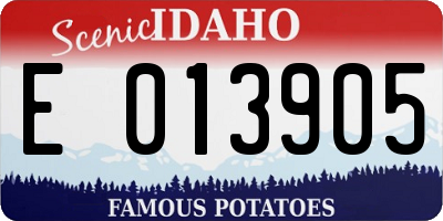 ID license plate E013905