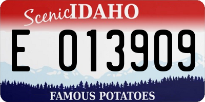 ID license plate E013909